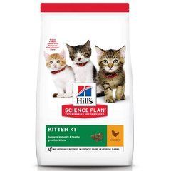 Hill's (Хіллс) Science Plan Kitten Chicken - Сухий корм з куркою для кошенят до 1 року, 300 г