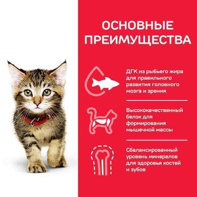 Hill's (Хіллс) Science Plan Kitten Chicken - Сухий корм з куркою для кошенят до 1 року, 300 г
