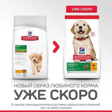 Hill's (Хіллс) Science Plan Puppy Large with Chicken - Сухий корм з куркою для цуценят собак великих порід, 2,5 кг