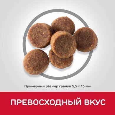 Hill's (Хіллс) Science Plan Puppy Large with Chicken - Сухий корм з куркою для цуценят собак великих порід, 2,5 кг
