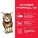 Hill's (Хіллс) Science Plan Kitten Chicken - Сухий корм з куркою для кошенят до 1 року, 300 г