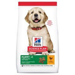 Hill's (Хіллс) Science Plan Puppy Large with Chicken - Сухий корм з куркою для цуценят собак великих порід, 2,5 кг