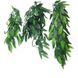 Exo Terra (Екзо Терра) Silk Plant Ruscus - Декоративна рослина для тераріуму з шовку, 70 см