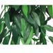 Exo Terra (Екзо Терра) Silk Plant Ruscus - Декоративна рослина для тераріуму з шовку, 70 см