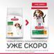 Hill's (Хіллс) Science Plan Puppy Medium with Chicken - Сухий корм з куркою для цуценят собак середніх порід, 14 кг