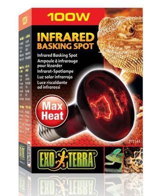Exo Terra (Екзо Терра) Infrared Basking Spot - Лампа розжарювання інфрачервона для тераріуму, 50W