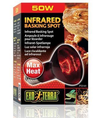 Exo Terra (Екзо Терра) Infrared Basking Spot - Лампа розжарювання інфрачервона для тераріуму, 50W