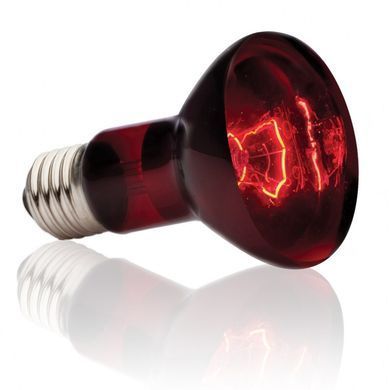 Exo Terra (Екзо Терра) Infrared Basking Spot - Лампа розжарювання інфрачервона для тераріуму, 50W