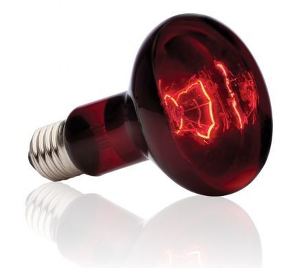 Exo Terra (Екзо Терра) Infrared Basking Spot - Лампа розжарювання інфрачервона для тераріуму, 50W
