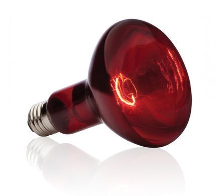 Exo Terra (Екзо Терра) Infrared Basking Spot - Лампа розжарювання інфрачервона для тераріуму, 50W