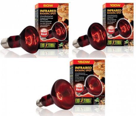 Exo Terra (Екзо Терра) Infrared Basking Spot - Лампа розжарювання інфрачервона для тераріуму, 50W