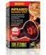 Exo Terra (Екзо Терра) Infrared Basking Spot - Лампа розжарювання інфрачервона для тераріуму, 50W
