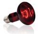 Exo Terra (Екзо Терра) Infrared Basking Spot - Лампа розжарювання інфрачервона для тераріуму, 50W