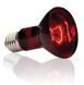 Exo Terra (Екзо Терра) Infrared Basking Spot - Лампа розжарювання інфрачервона для тераріуму, 50W