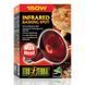 Exo Terra (Екзо Терра) Infrared Basking Spot - Лампа розжарювання інфрачервона для тераріуму, 50W