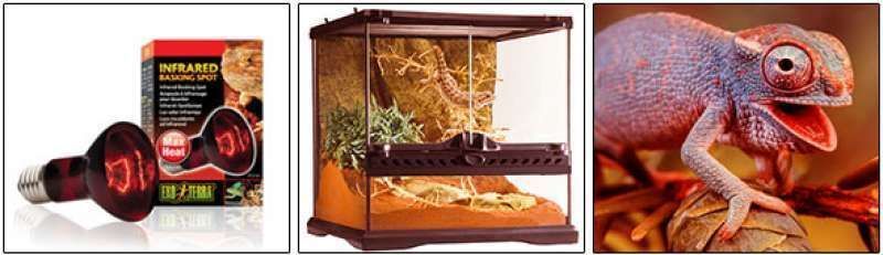Exo Terra (Екзо Терра) Infrared Basking Spot - Лампа розжарювання інфрачервона для тераріуму, 50W