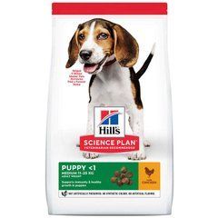 Hill's (Хіллс) Science Plan Puppy Medium with Chicken - Сухий корм з куркою для цуценят собак середніх порід, 14 кг