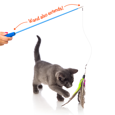 Hartz Just For Cats Kitty Caster Cat Toy- Іграшка для кішок - вудка з рибкою, пір'ям і з котячою м'ятою