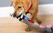 Hartz Squeakerz Dog toy -Іграшка для собак - м'яка, з пищалками (бобер, єнот, лисиця)