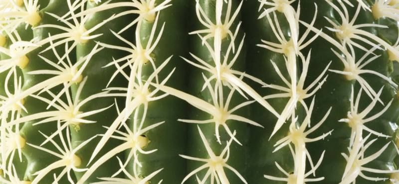 Exo Terra (Екзо Терра) Desert Plant Barrel Cactus - Пластикова декоративна рослина для тераріуму, 12 см