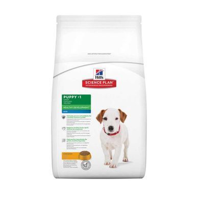 Hill's (Хіллс) Science Plan Puppy Small & Mini with Chicken - Сухий корм з куркою для цуценят малих і мініатюрних порід, 300 г
