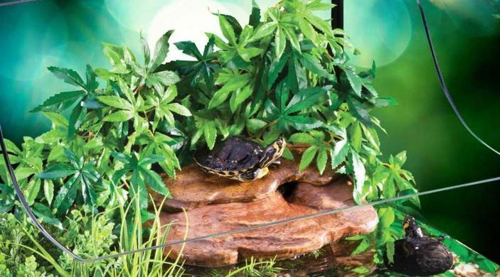 Exo Terra (Екзо Терра) Silk Plant Abutilon - Декоративна рослина для тераріуму з шовку, 45 см