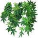 Exo Terra (Екзо Терра) Silk Plant Abutilon - Декоративна рослина для тераріуму з шовку, 45 см