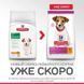 Hill's (Хіллс) Science Plan Puppy Small & Mini with Chicken - Сухий корм з куркою для цуценят малих і мініатюрних порід, 300 г