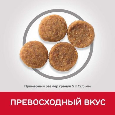 Hill's (Хіллс) Science Plan Adult Medium with Lamb & Rice - Сухий корм з ягням і рисом для дорослих собак середніх порід, 2,5 кг