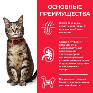 Hill's (Хіллс) Science Plan Adult with Chicken - Сухий корм з куркою для дорослих кішок, 3 кг