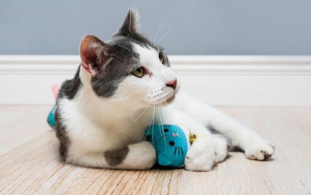 Hartz Cattraction with Silver Vine & Catnip Macaron Mice Cat Toy- Набір для кішок з 2-х м'яких мишок з привертає запахом (срібна лоза + котяча м'ята)