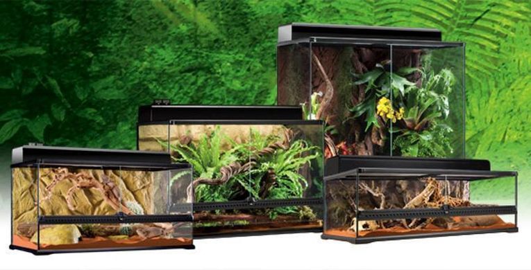 Exo Terra (Екзо Терра) Terrarium Natural Large X-Tall - Тераріум скляний великий для рептилій, 90х45х90 см