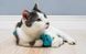Hartz Cattraction with Silver Vine & Catnip Macaron Mice Cat Toy- Набір для кішок з 2-х м'яких мишок з привертає запахом (срібна лоза + котяча м'ята)
