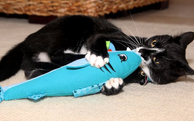 Hartz Cattraction with Silver Vine & Catnip Animal Pal Kicker Cat Toy -Іграшка для кішок м'яка акула / птах 35 см з привертає запахом (срібна лоза + котяча м'ята)