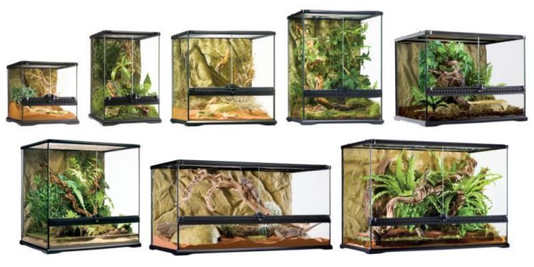Exo Terra (Екзо Терра) Terrarium Natural Medium X-Tall - Тераріум скляний середньо-високий для рептилій, 60х45х90 см