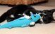 Hartz Cattraction with Silver Vine & Catnip Animal Pal Kicker Cat Toy -Іграшка для кішок м'яка акула / птах 35 см з привертає запахом (срібна лоза + котяча м'ята)
