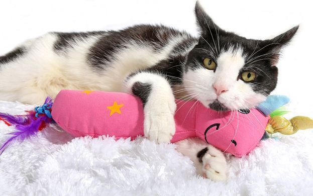Hartz Cattraction with Silver Vine & Catnip Magic Unicorn Kicker Cat Toy - Іграшка для кішок єдиноріг 30 см з привертає запахом (срібна лоза + котяча м'ята)