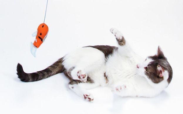Hartz Cattraction with Silver Vine & Catnip Koi Dangler Cat Toy- Іграшка для кішок складна вудка з рибкою з привертає запахом (срібна лоза + котяча м'ята)