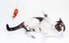 Hartz Cattraction with Silver Vine & Catnip Koi Dangler Cat Toy- Іграшка для кішок складна вудка з рибкою з привертає запахом (срібна лоза + котяча м'ята)