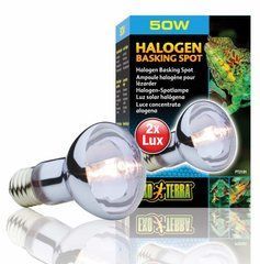 Exo Terra (Екзо Терра) Halogen Basking Spot - Лампа галогенова для тераріуму, 50W