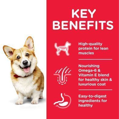 Hill's (Хіллс) Science Plan Adult Small & Miniature - Корм для дорослих собак з куркою та індичкою маленьких і мініатюрних порід, 6 кг