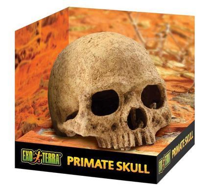 Exo Terra (Екзо Терра) Primate Skul - Декорація укриття Череп людини, 15х11х12 см