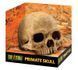 Exo Terra (Екзо Терра) Primate Skul - Декорація укриття Череп людини, 15х11х12 см