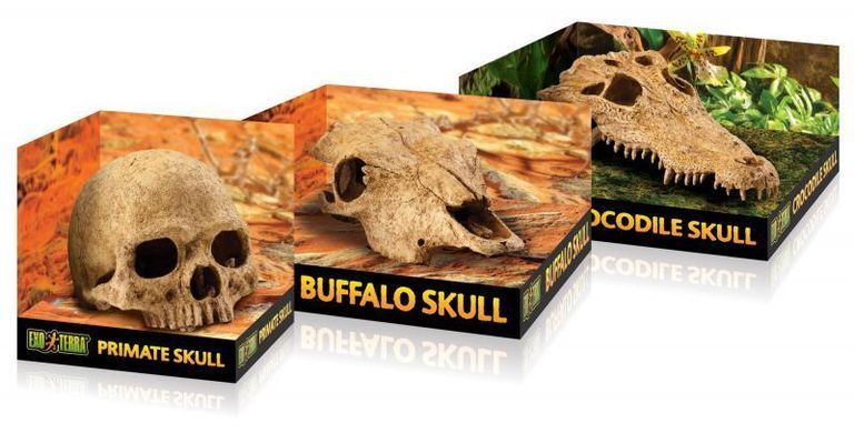 Exo Terra (Екзо Терра) Crocodile Skull - Декорація укриття Череп крокодила, 23x17x7,5 см