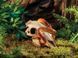 Exo Terra (Екзо Терра) Buffalo Skull - Декорація укриття Череп бика, 24x14x9 см