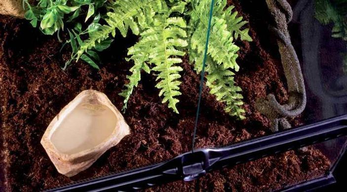 Exo Terra (Екзо Терра) Water Dish - Поїлка пластикова для рептилій, 26 см