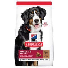 Hill's (Хіллс) Science Plan Adult Large with Lamb & Rice - Сухий корм з ягням і рисом для дорослих собак великих порід. BONUS Bag- NEW, 14 кг