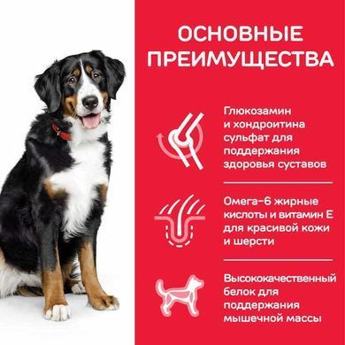 Hill's (Хіллс) Science Plan Adult Large with Lamb & Rice - Сухий корм з ягням і рисом для дорослих собак великих порід. BONUS Bag- NEW, 14 кг