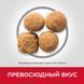 Hill's (Хіллс) Science Plan Adult Large with Lamb & Rice - Сухий корм з ягням і рисом для дорослих собак великих порід. BONUS Bag- NEW, 14 кг