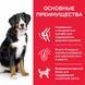 Hill's (Хіллс) Science Plan Adult Large with Lamb & Rice - Сухий корм з ягням і рисом для дорослих собак великих порід. BONUS Bag- NEW, 14 кг